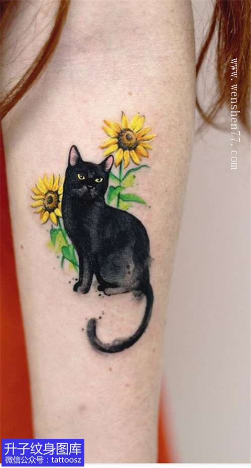 女生手臂外侧猫与向日葵纹身图案
