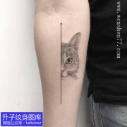 <b>手臂个性直线与猫头纹身图案</b>