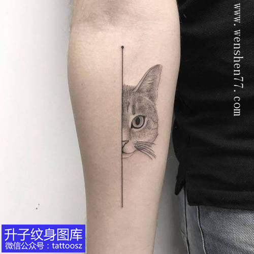 手臂个性直线与猫头纹身图案