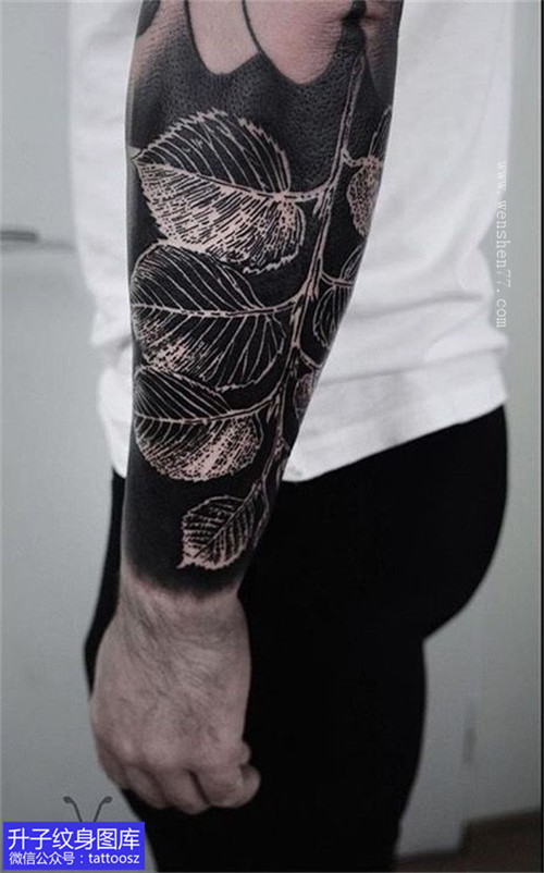 手臂黑臂镂空树叶纹身图案
