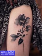 <b>女性大腿外侧植物水墨风格玫瑰花纹身图案</b>