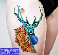 <b>性感的大腿麋鹿与梵花纹身图案</b>
