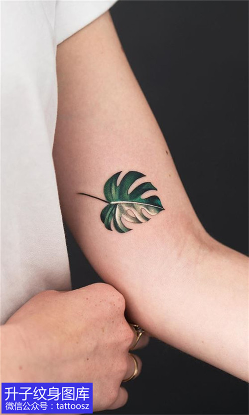 女生大臂内侧植物树叶纹身图片
