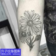 <b>手臂内侧菊花纹身图案</b>
