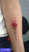 <b>手臂内侧 玫瑰花纹身图案</b>