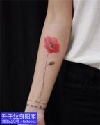 <b>手臂内侧彩色罂粟花纹身图案</b>