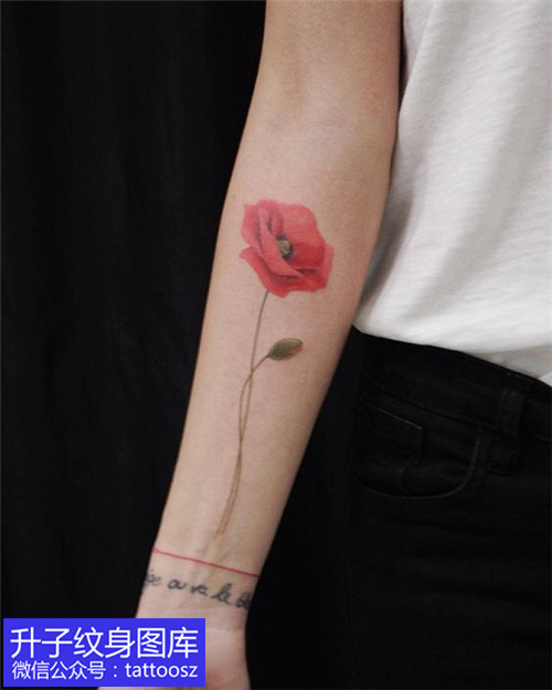 手臂内侧彩色罂粟花纹身图案