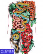 <b>满背纹身手稿 蛇和菊花纹身手稿图案</b>