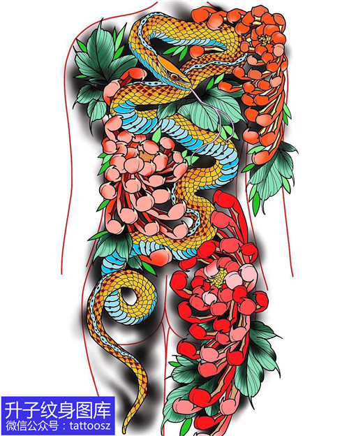 满背纹身手稿 蛇和菊花纹身手稿图案