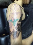 <b>重庆遮盖纹身修改大臂外侧旧纹身仙鹤纹身图案</b>