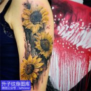 <b>重庆大臂外侧写实向日葵纹身图案</b>