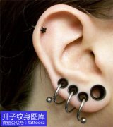<b>重庆人体艺术穿孔耳钉、耳廓作品案例</b>