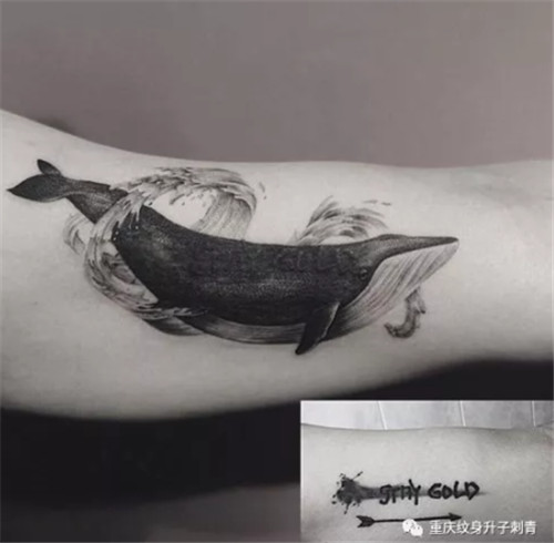 手臂遮盖旧纹身鲸鱼纹身图案