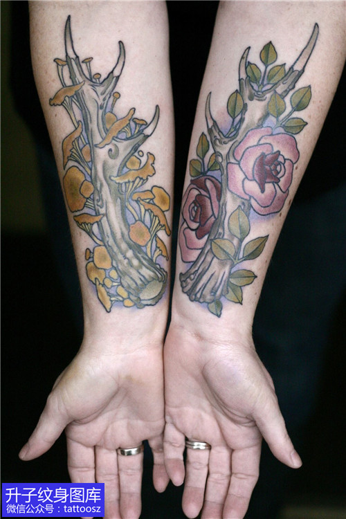 观音桥手臂情侣鹿角与植物花纹身图案大全