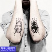 <b>男士手臂欧美甲壳虫纹身图案</b>