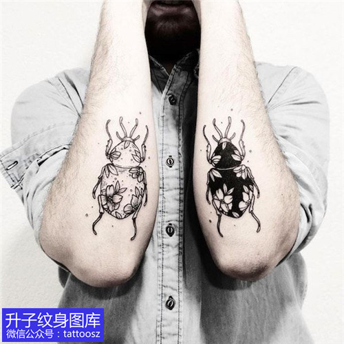 男士手臂欧美甲壳虫纹身图案