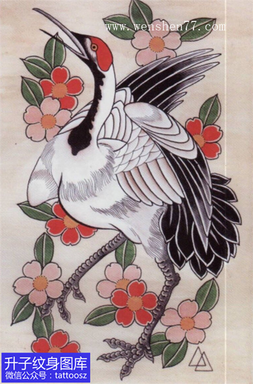 仙鹤樱花纹身手稿图案