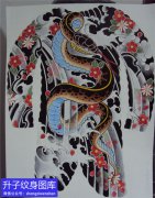 <b>满背蛇樱花纹身手稿图案</b>