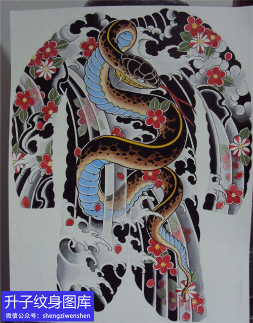 满背蛇樱花纹身手稿图案