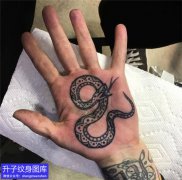 <b>手掌心蛇纹身图案</b>