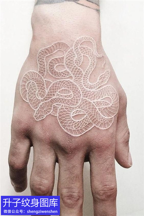 手背白色蛇纹身图案