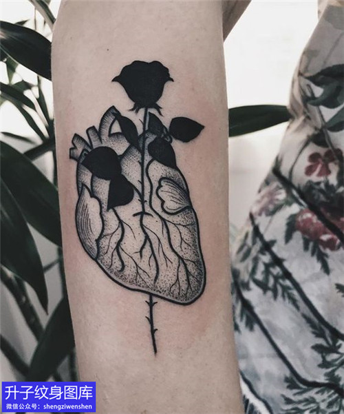 手臂黑白点刺精致的心脏玫瑰花纹身