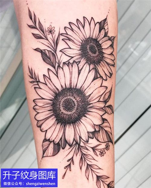 手臂内侧黑白系列向日葵纹身图案