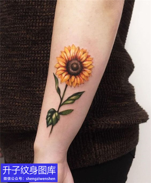 女生小臂外侧彩色向日葵纹身图案