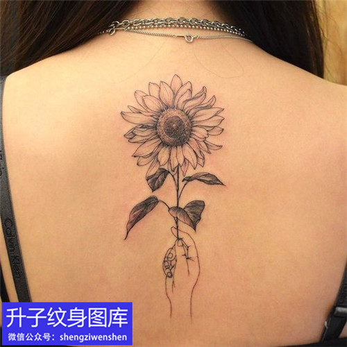 美女后背的向日葵太阳花纹身图案