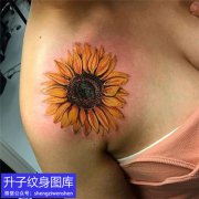 <b>璧山美女肩膀的彩色写实向日葵纹身</b>