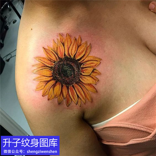 美女肩膀的彩色写实向日葵纹身