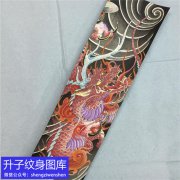 <b>沙坪坝个性彩色传统花臂龙纹身手稿图案</b>