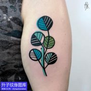 <b>精致大臂植物彩色树叶纹身图案</b>
