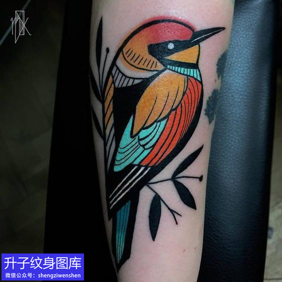 手臂彩色动物鸟纹身图案