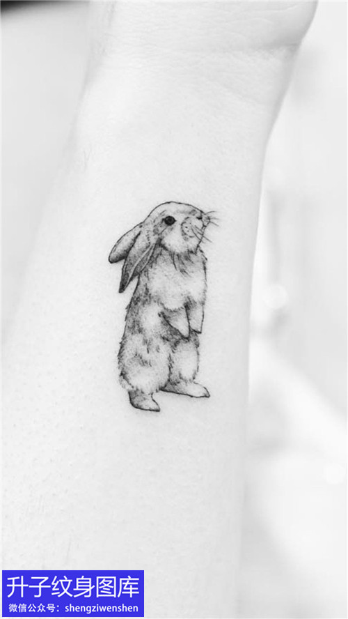 手臂小清新兔子纹身图案多少钱