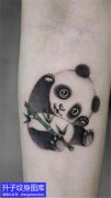 手臂内侧熊猫纹身图案