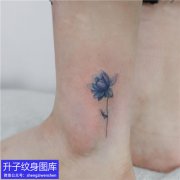 脚踝彩色植物花纹身图案
