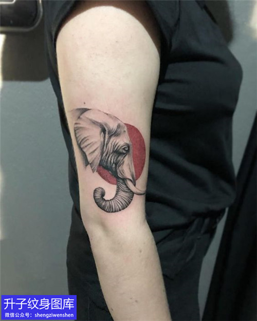 大臂 外侧大象纹身图案