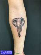 手臂内侧大象纹身
