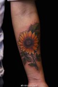 手臂向日葵纹身图案