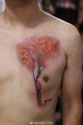 胸部写实白桦树纹身