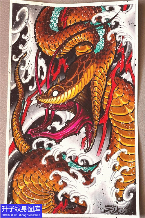 传统彩色蛇纹身手稿图案