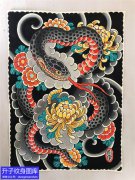 蛇与菊花纹身手稿