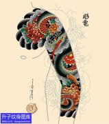 老传统花臂蛇菊花纹身手稿