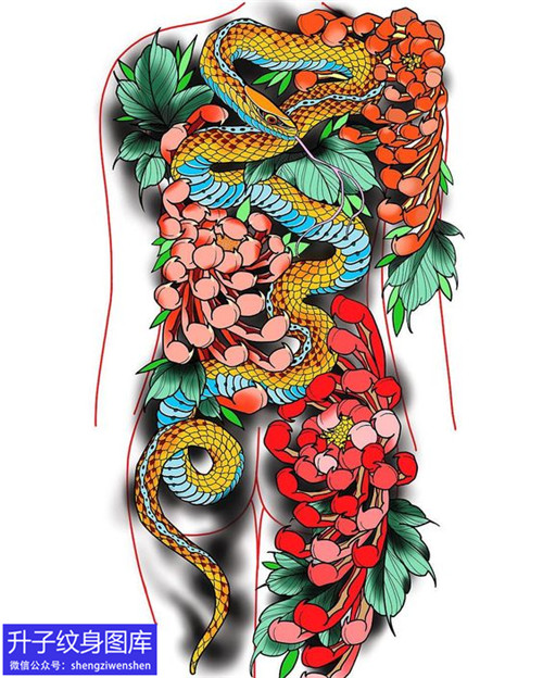 满背彩色蛇菊花纹身手稿