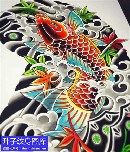 传统半甲鲤鱼枫叶纹身手稿