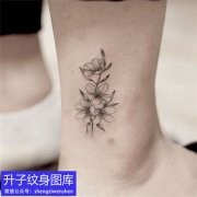 <b>脚踝小清新植物花纹身图案</b>