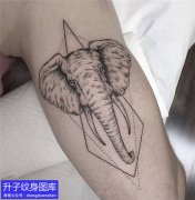 <b>大臂大象纹身图案</b>