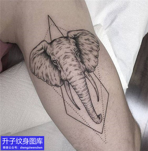 大臂大象纹身图案
