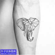 <b>手臂内侧大象纹身图案</b>